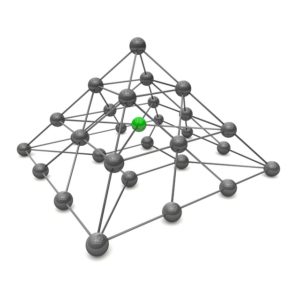 Identificación automática de especies con redes de sensores