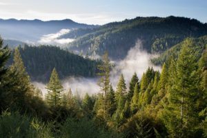 Monitoreo medioambiental con redes de sensores 